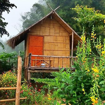 Baan Aingdoi Homestay, Chiang Dao Exteriér fotografie
