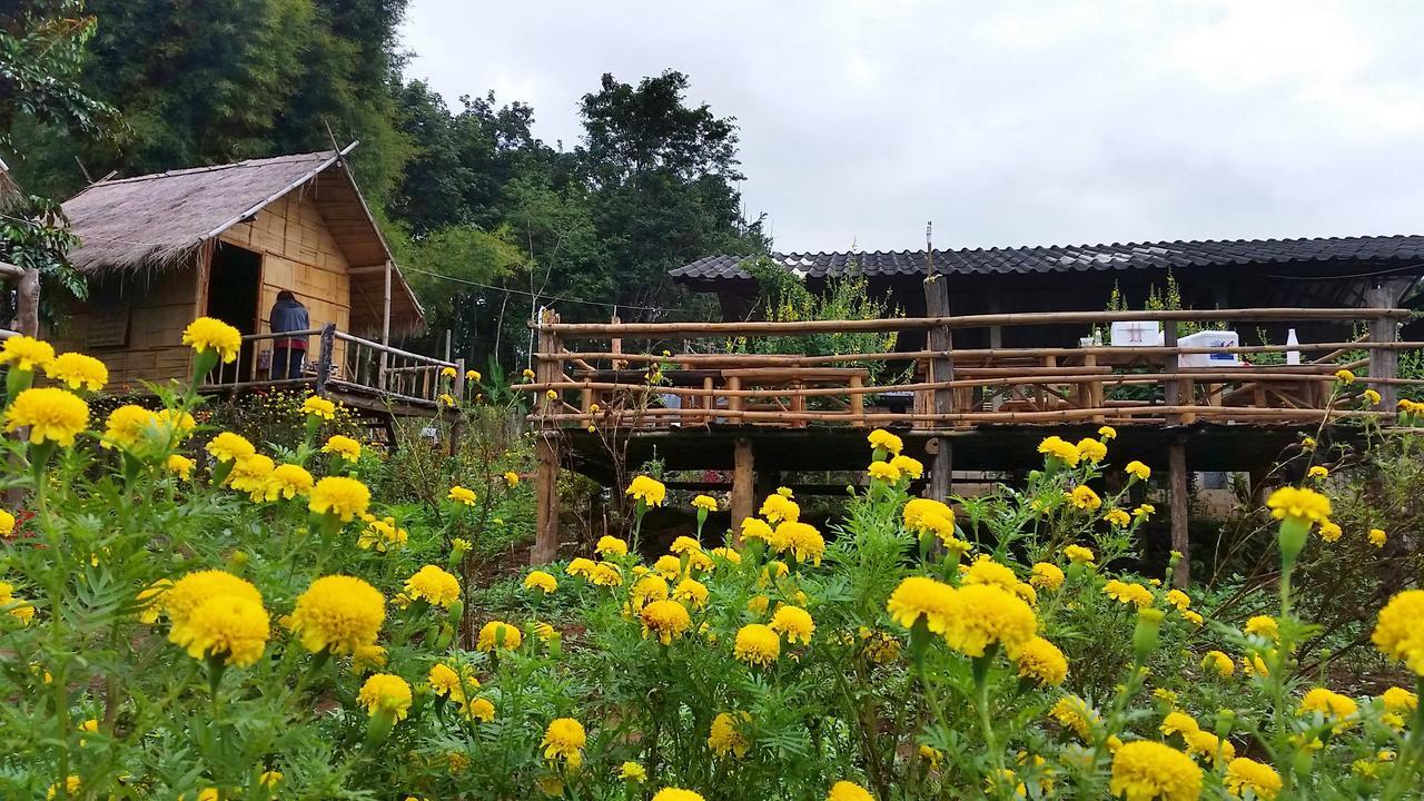Baan Aingdoi Homestay, Chiang Dao Exteriér fotografie
