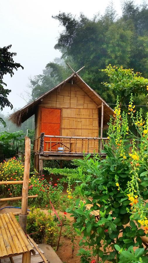 Baan Aingdoi Homestay, Chiang Dao Exteriér fotografie