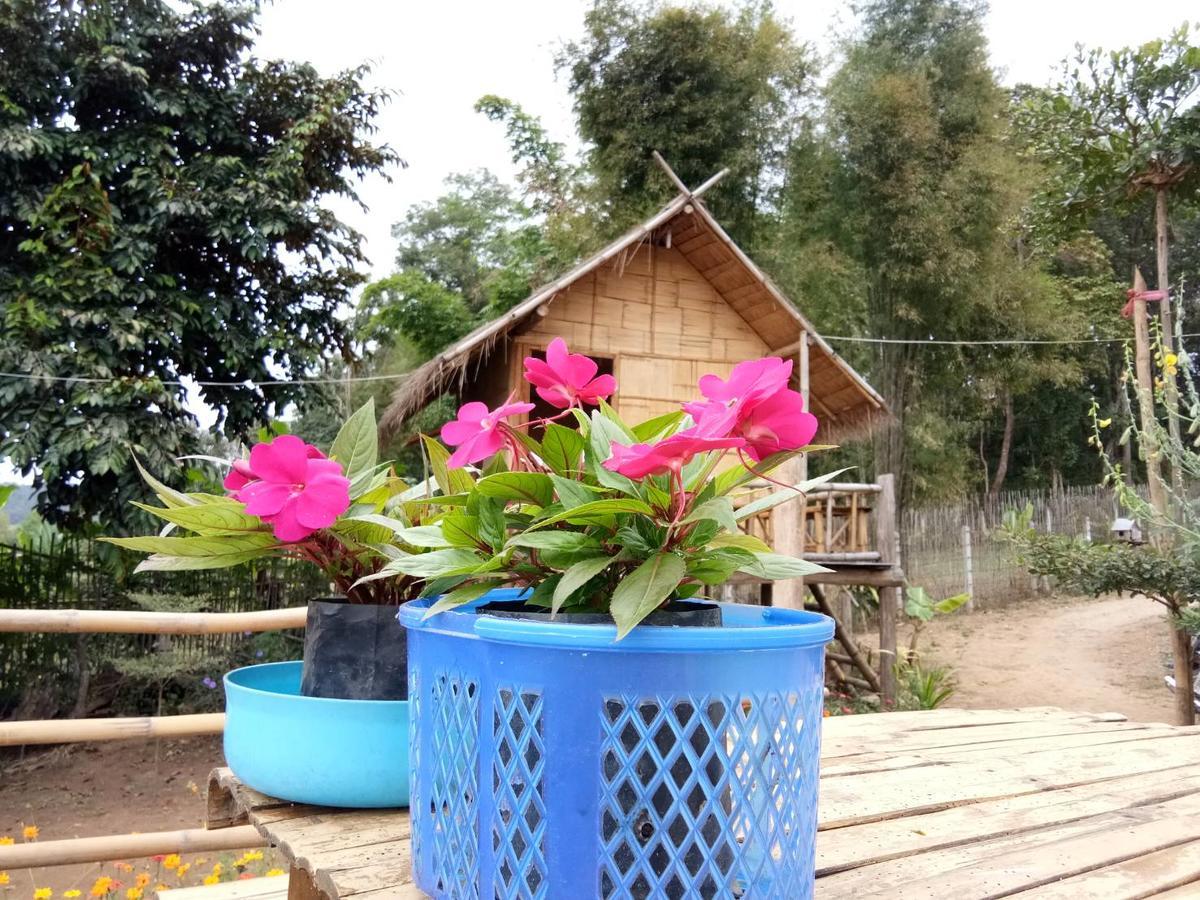Baan Aingdoi Homestay, Chiang Dao Exteriér fotografie