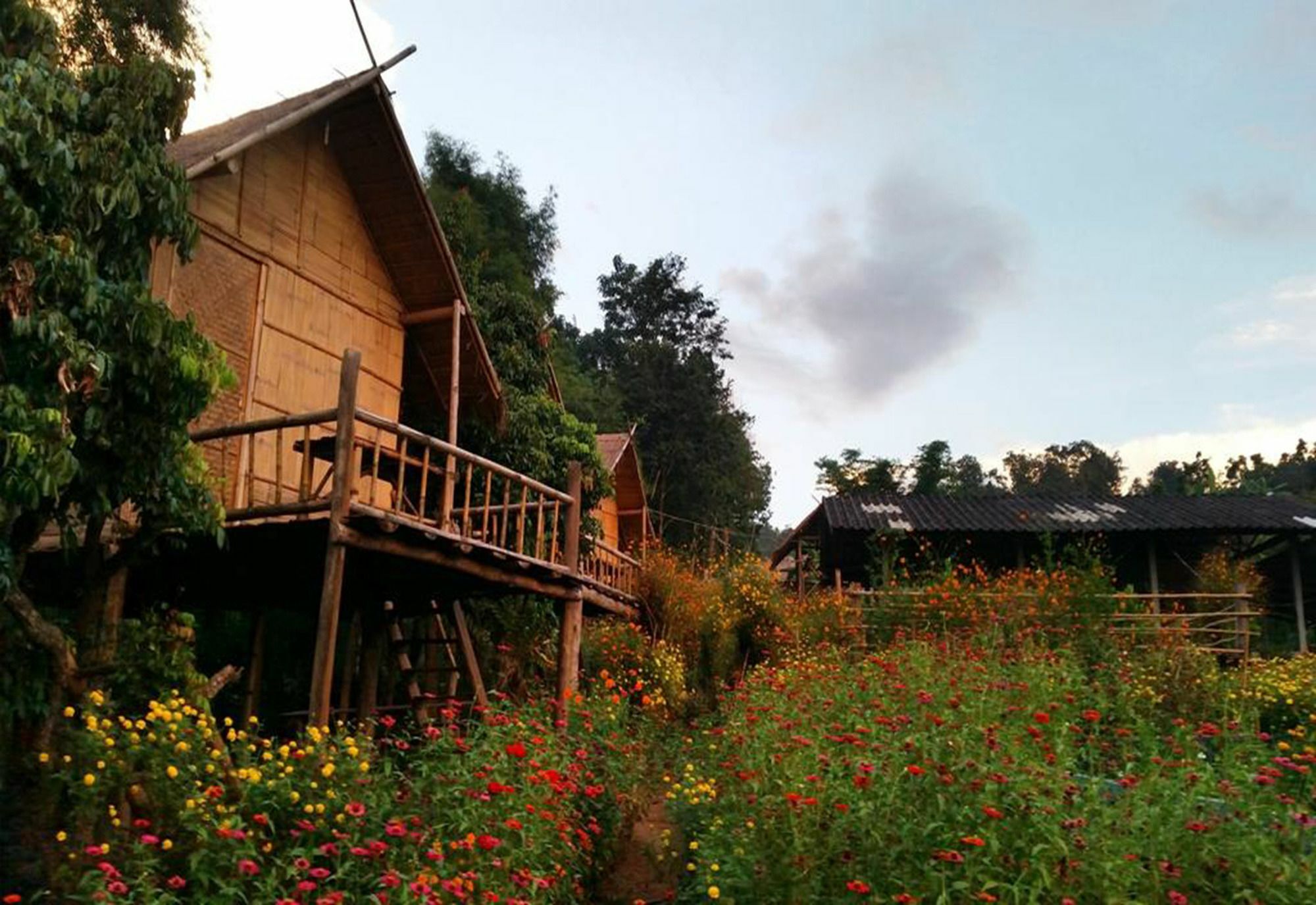 Baan Aingdoi Homestay, Chiang Dao Exteriér fotografie