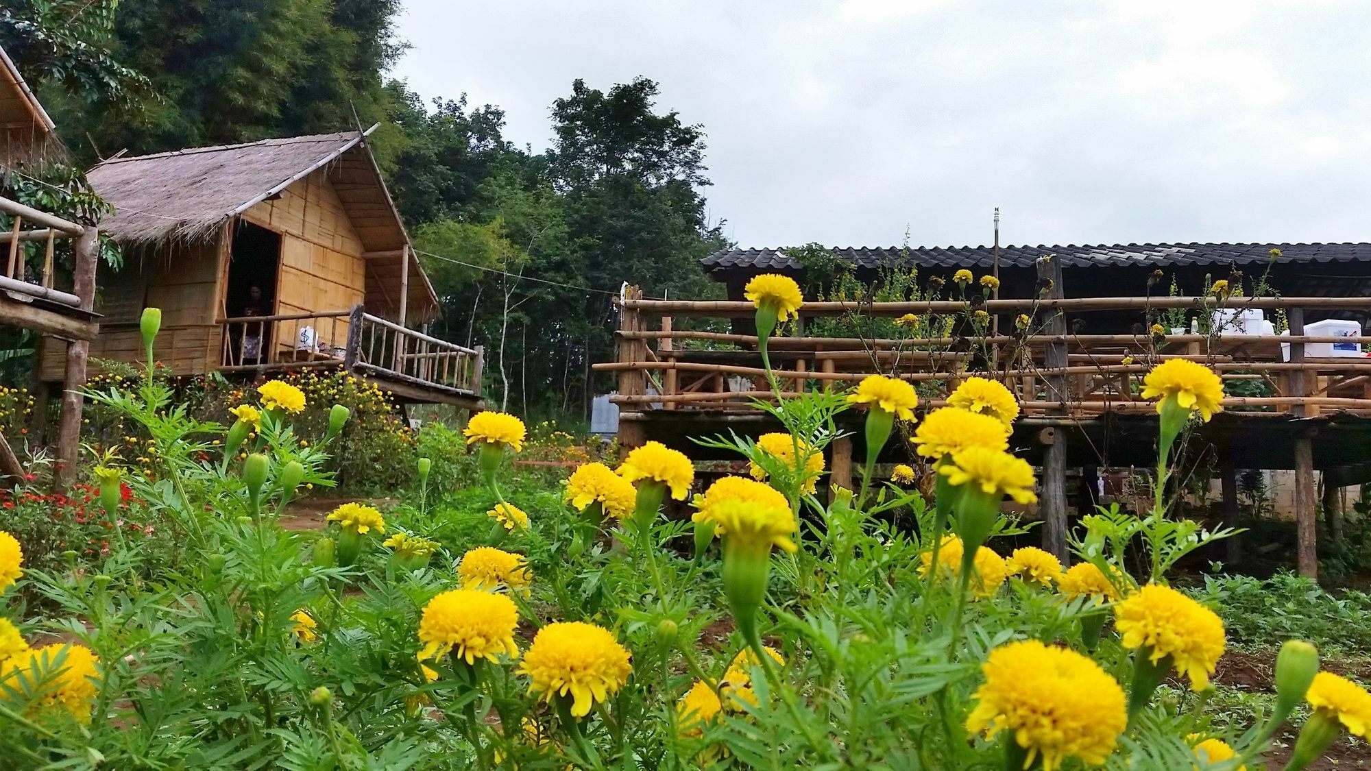 Baan Aingdoi Homestay, Chiang Dao Exteriér fotografie