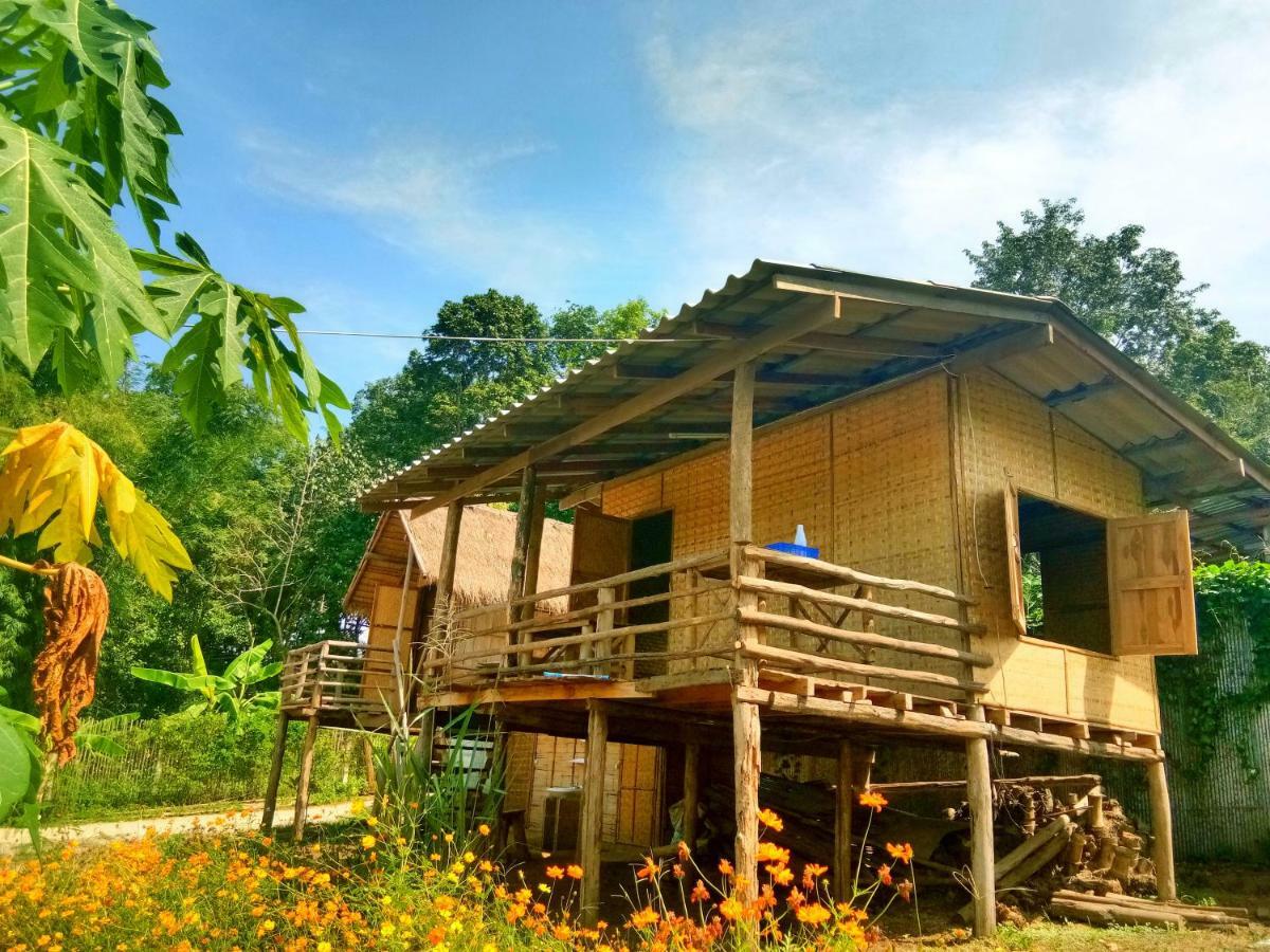 Baan Aingdoi Homestay, Chiang Dao Exteriér fotografie