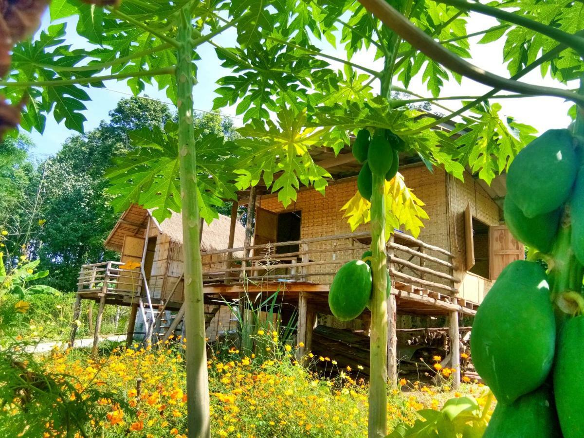 Baan Aingdoi Homestay, Chiang Dao Exteriér fotografie