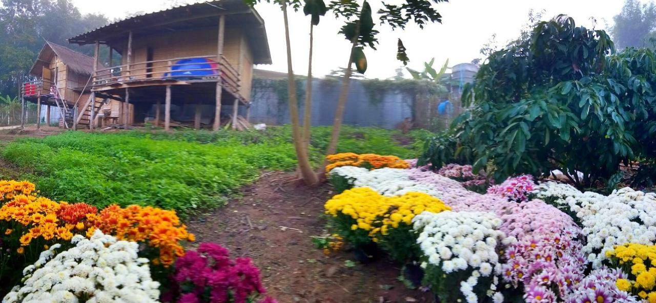 Baan Aingdoi Homestay, Chiang Dao Exteriér fotografie