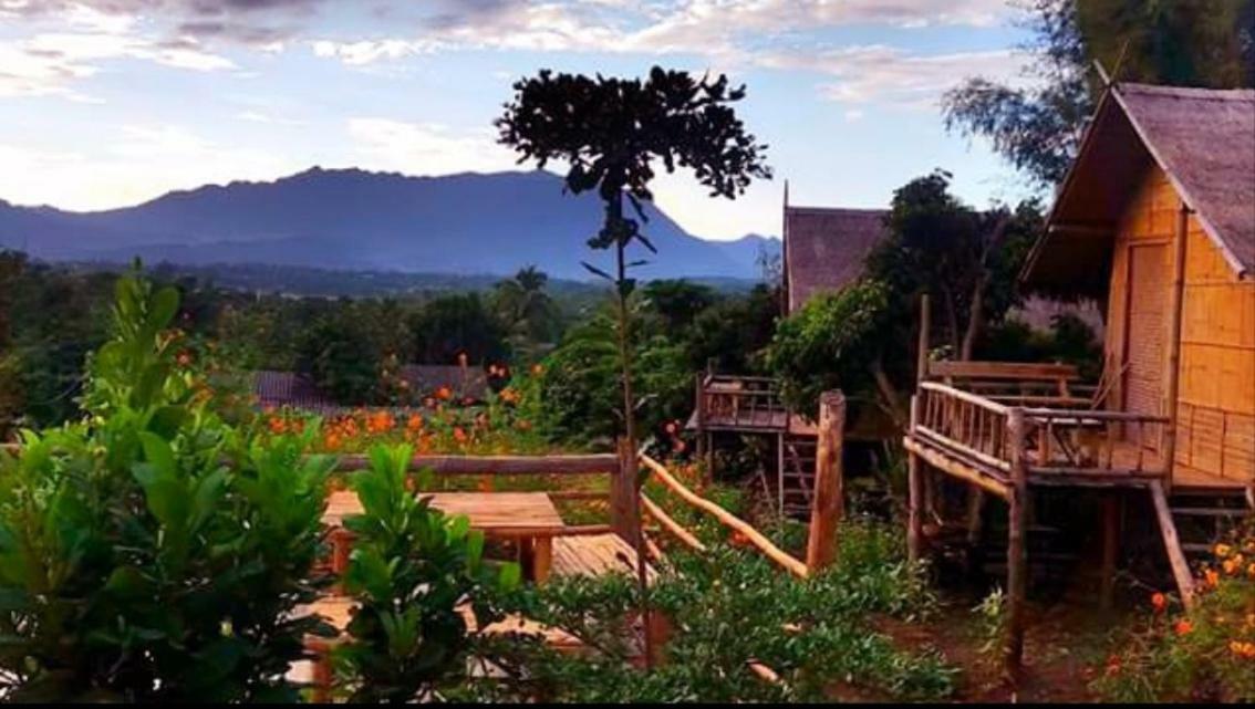 Baan Aingdoi Homestay, Chiang Dao Exteriér fotografie