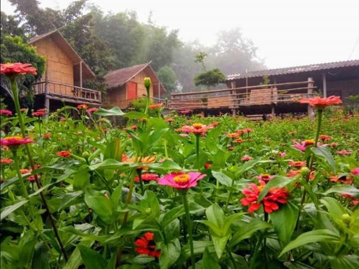 Baan Aingdoi Homestay, Chiang Dao Exteriér fotografie