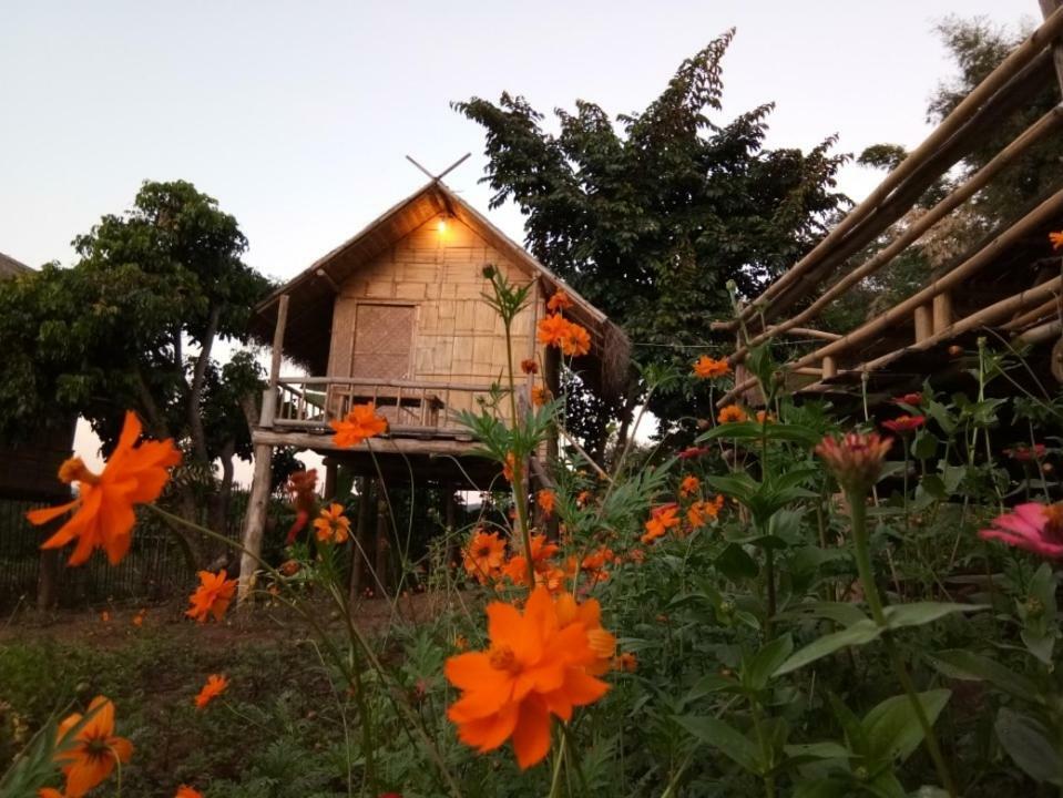 Baan Aingdoi Homestay, Chiang Dao Exteriér fotografie